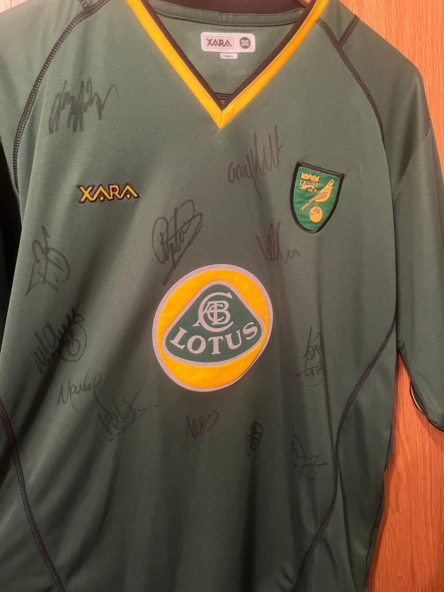 Norwich City 2003/2004 Away Football Shirt Large - Squad Signed